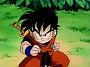 Dragonball Z (5)